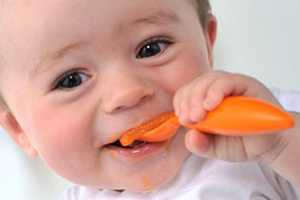 Imagen ilustrativa del artículo Primeros alimentos de una Dieta Vegetariana para Bebés